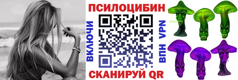 Псилоцибиновые грибы GOLDEN TEACHER  Купить где  Чегем 